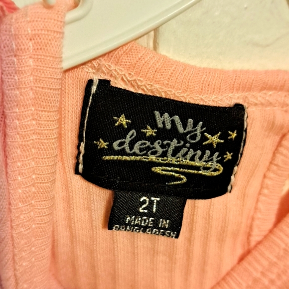 NWT My Destiny 2 piece toddler girls jumper skirt set - Picture 4 of 5